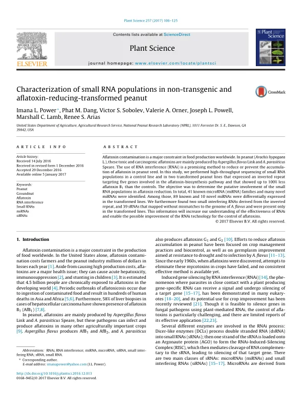 Characterization of small RNA populations in non-transgenic and aflatoxin-reducing-transformed peanut