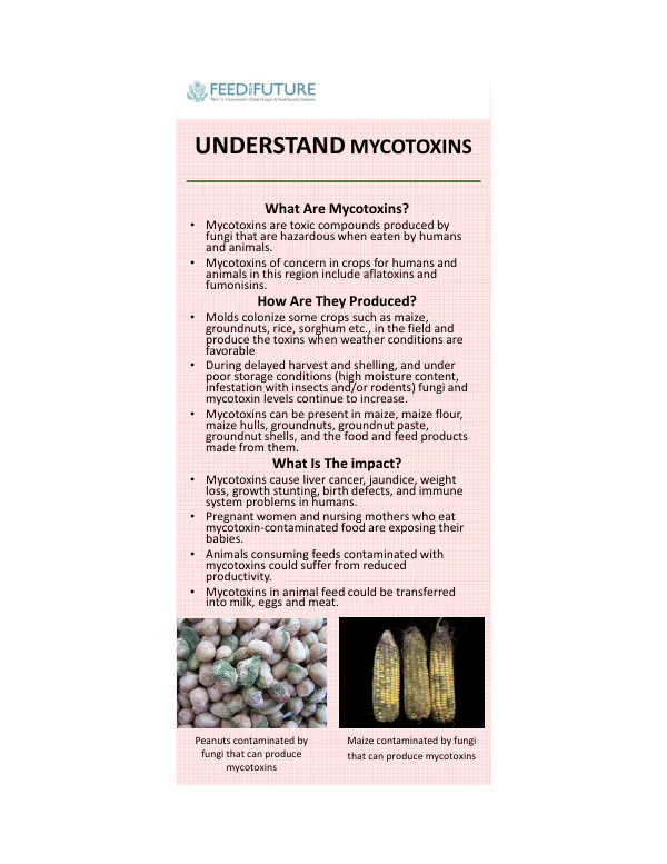 Mycotoxin awareness - CARD_FINISH