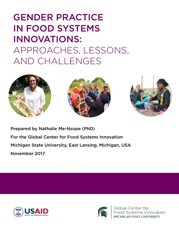 Gender Practice in Food Systems Innovations: Approaches, Lessons, and Challenges