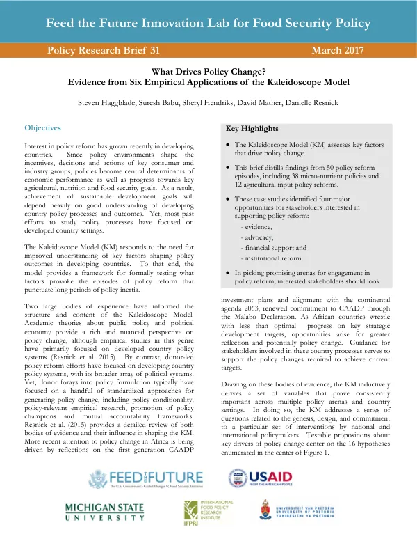 Policy_Brief_31: What Drives Policy Change? Evidence from Six Empirical Applications of the Kaleidoscope Model
