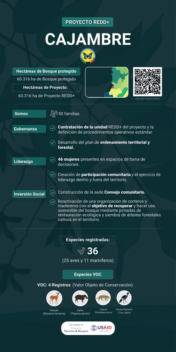 Banners Informativos Sobre Proyectos REDD+
