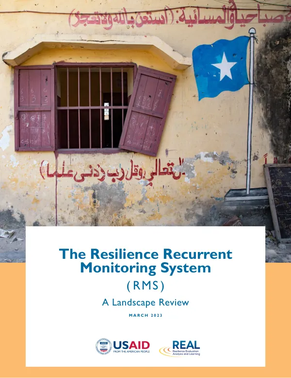 The Resilience Recurrent Monitoring System (RMS): A Landscape Review