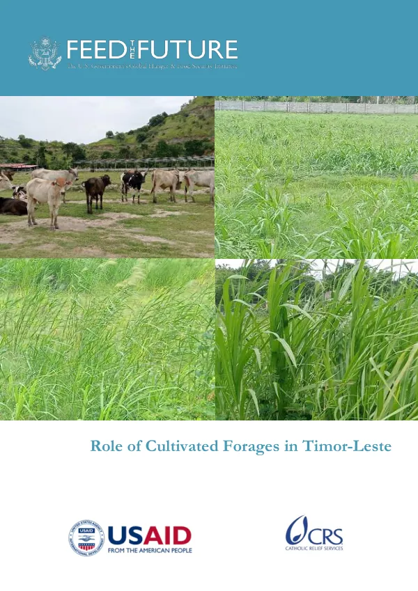Role of Cultivated Forages in Timor-Leste
