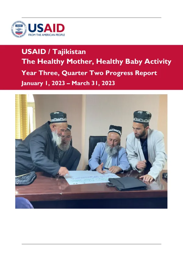 Year Three, Quarter Two Progress Report: The Healthy Mother, Healthy Baby Activity