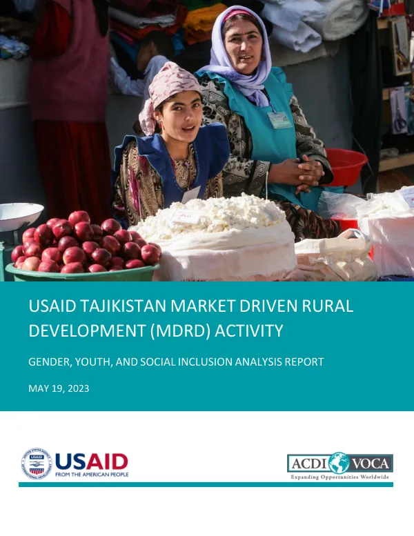 Gender, Youth, and Social Inclusion Analysis Report