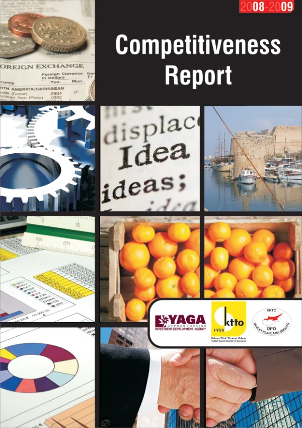 Turkish Cypriot Competitiveness Report