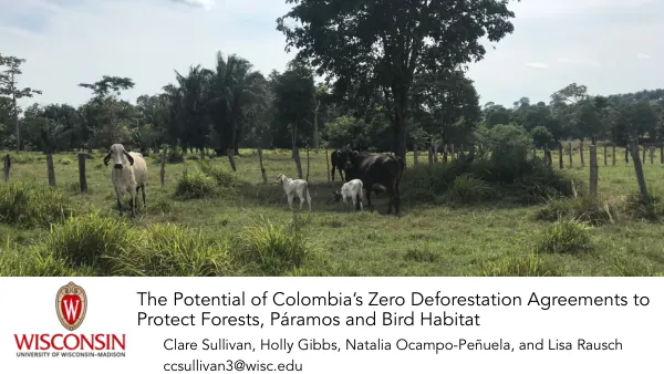 Assessment of the Impact of ZDAs and Forests on Water Security, Sanitation, and Hygiene in the Context of the COVID-19 Pandemic