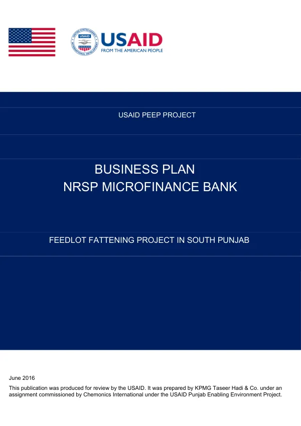 Business Plan for NRSP Microfinance Bank Limited under the USAID Punjab Enabling Environment Project