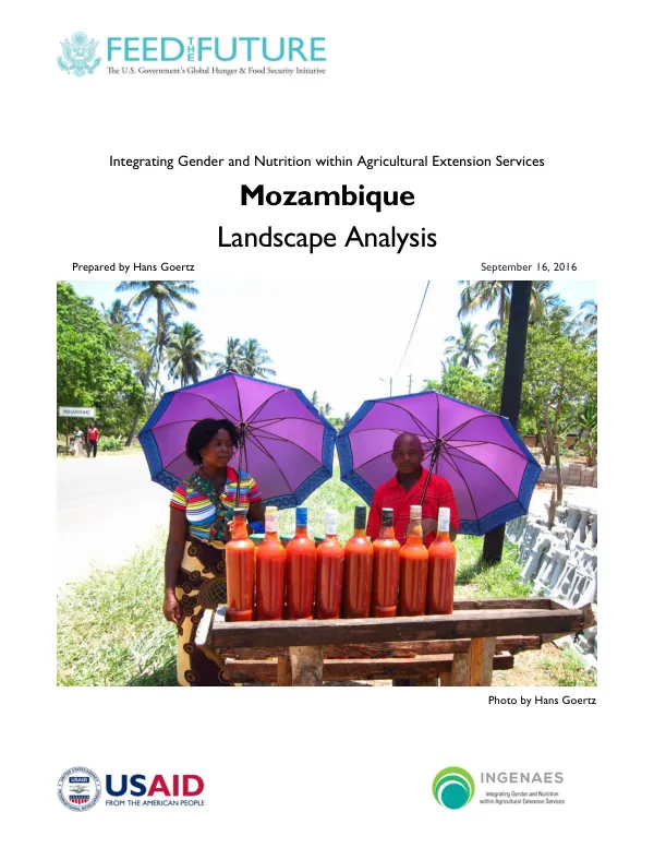 Mozambique Landscape Analysis: Integrating Gender and Nutrition within Agricultural Extension Services