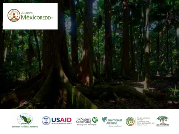 Principales conclusiones Redd+
