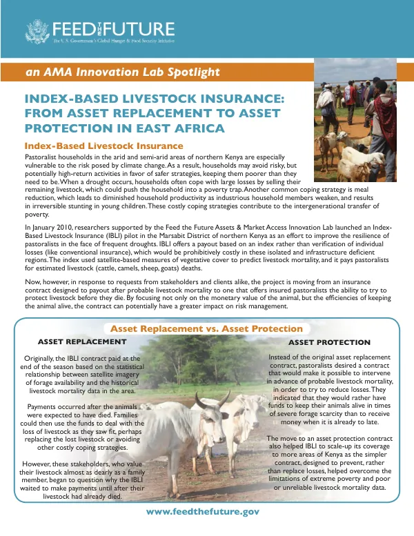 Index-Based Livestock Insurance: From Asset Replacement to Asset Protection in East Africa