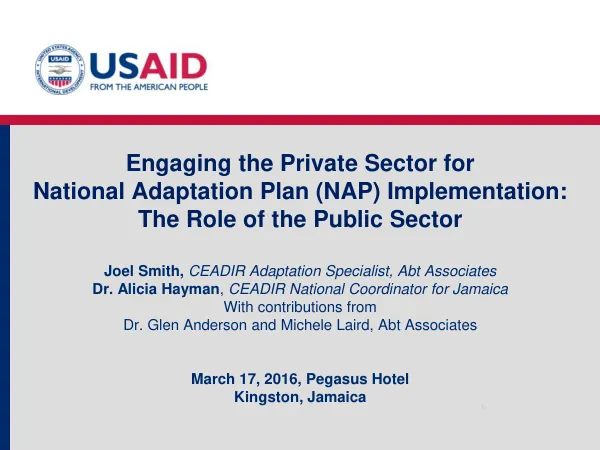 Engaging the Private Sector for National Adaptation Plan (NAP) Implementation: The Role of the Public Sector