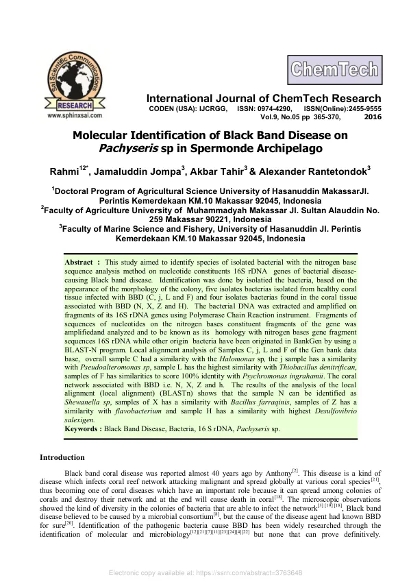 Molecular Identification of Black Band Disease on Pachyseris sp in Spermonde Archipelago