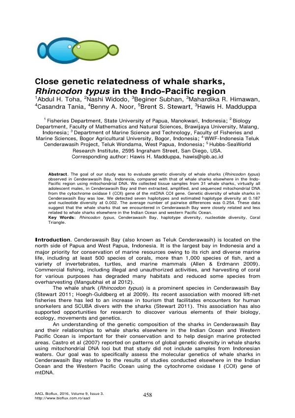 Close genetic relatedness of whale sharks, Rhincodon typus in the Indo-Pacific region