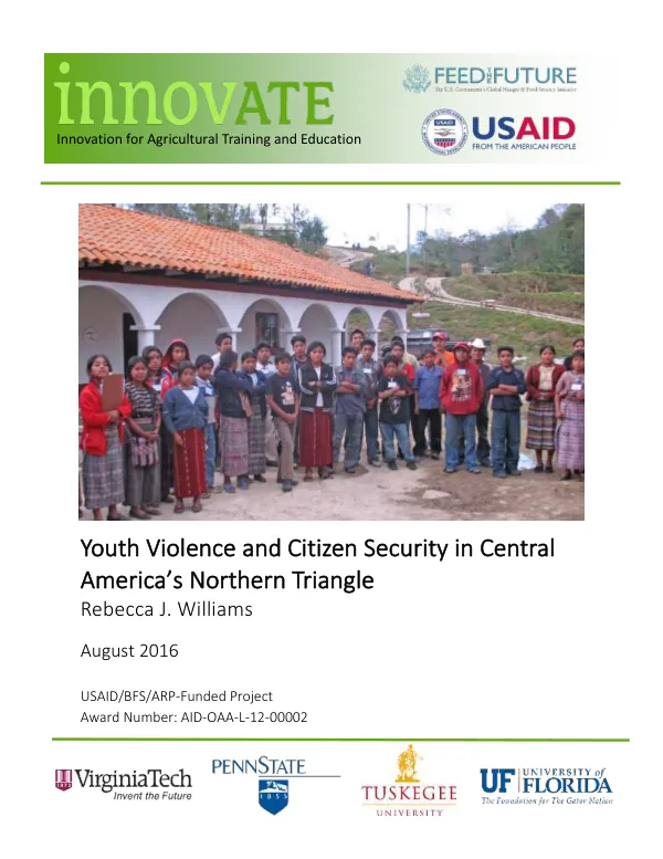 Youth Violence and Citizen Security in Central America’s Northern Triangle