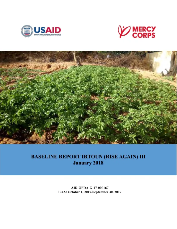 Baseline report irtoun (rise again) III