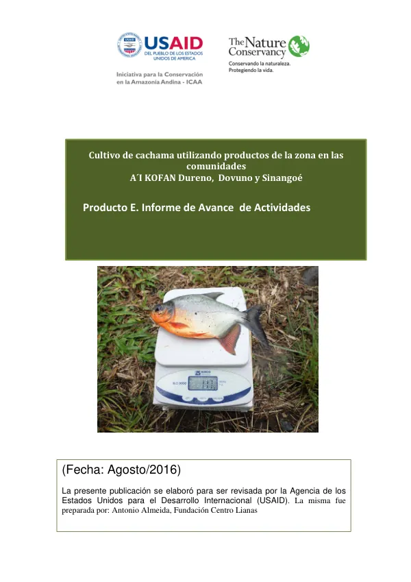 Cultivo de cachama utilizando productos de la zona en las comunidades A´I KOFAN Dureno, Dovuno y Sinangoé