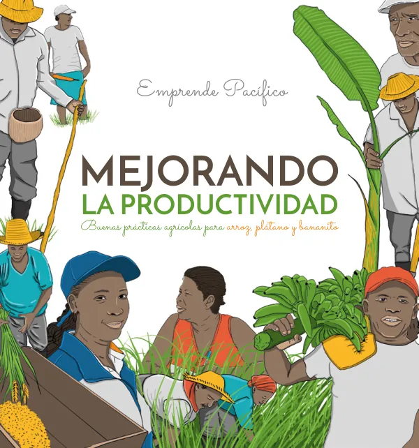 Buenas Prácticas Agrícolas para Arroz, Plátano y Bananito