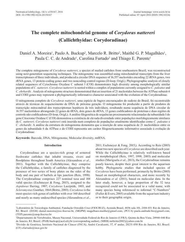 The complete mitochondrial genome of Corydoras nattereri (Callichthyidae: Corydoradinae)