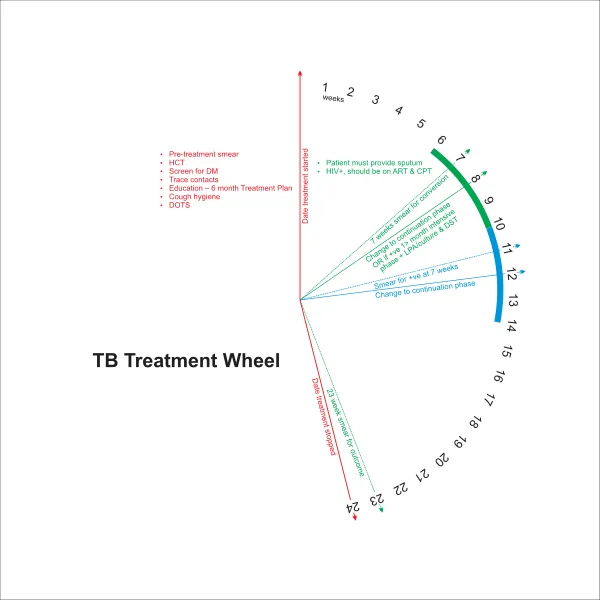 TB Wheel Final Report
