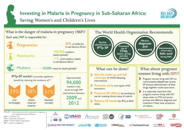 Investing in Malaria in Pregnancy in Sub-Saharan Africa: Saving Women's and Children's Lives