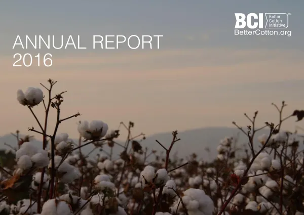 2016 Annual Report: Better Cotton Initiative