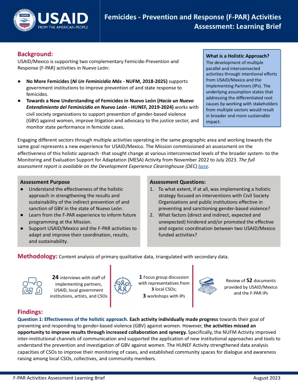 Femicides - Prevention and Response Activities Assessment: Learning Brief