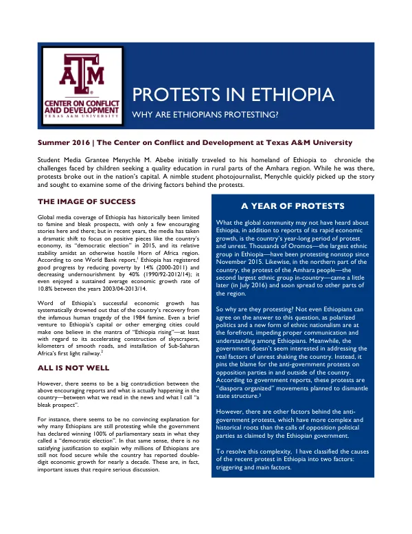The Image of Success: A Year of Protests in Ethiopia