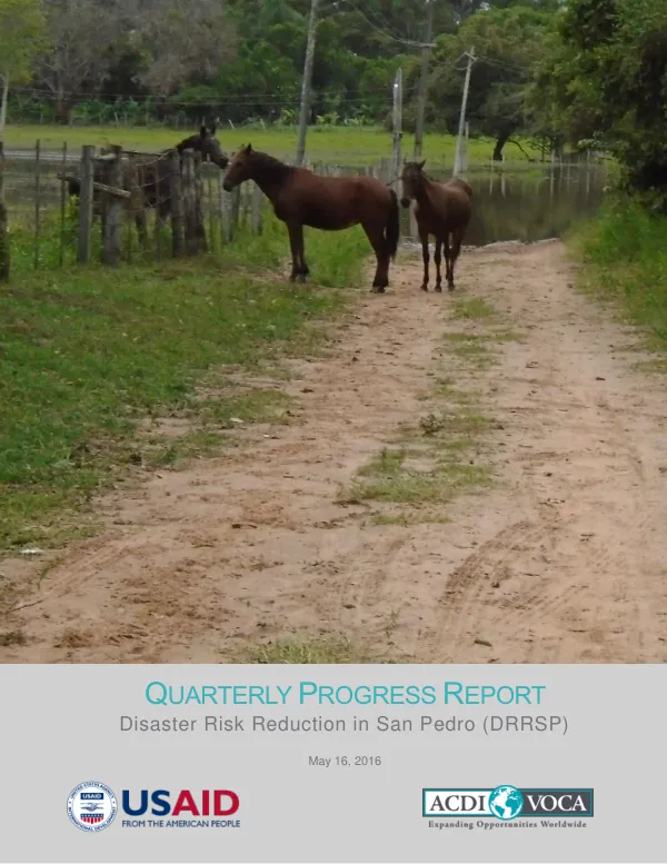 Quarterly Progress Report: Disaster Risk Reduction in San Pedro