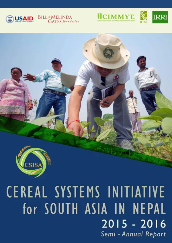Semi-Annual Report: Cereal Systems Initiative for South Asia in Nepal (CSISA-NP)