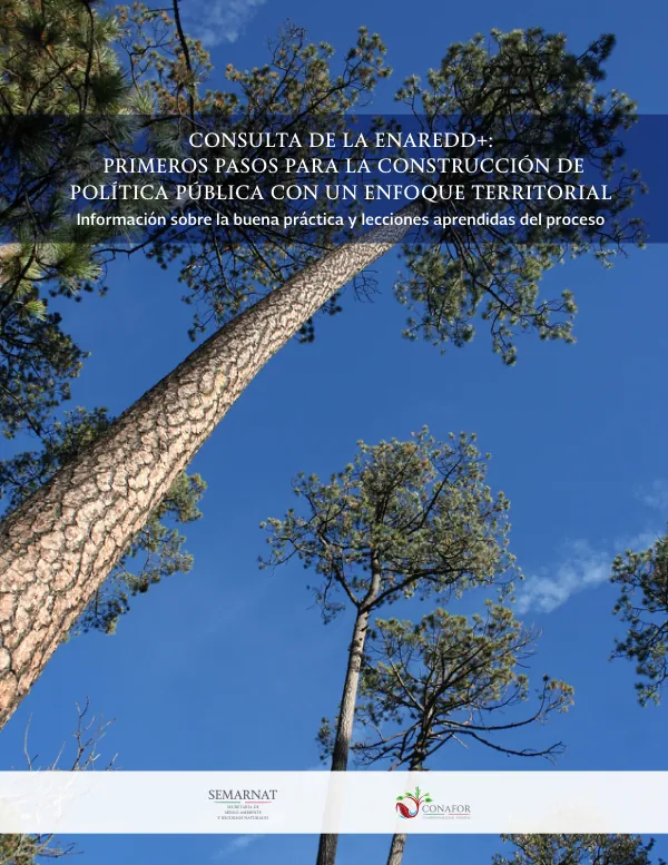 Consulta de la ENAREDD+: Primeros pasos para la construcción de política pública con un enfoque territorial