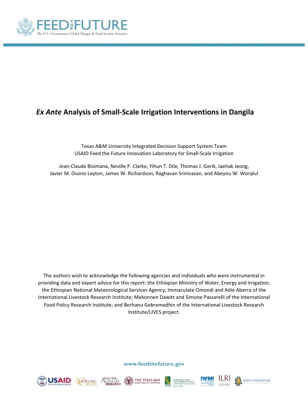 Ex Ante Analysis of Small-Scale Irrigation Interventions in Dangila