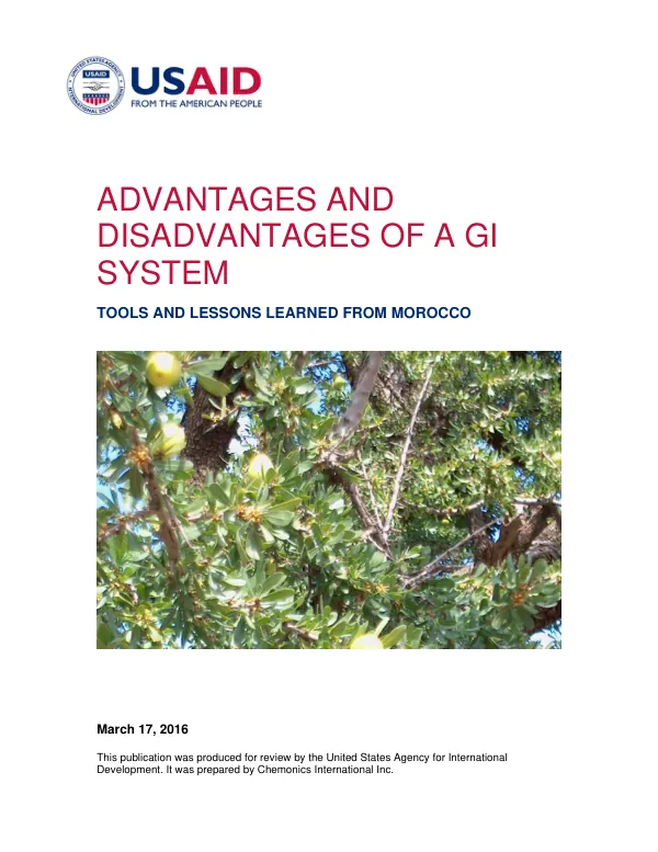 Advantages and Disadvantages of a GI System in Morocco