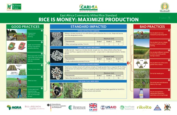 Rice Production Best Practices