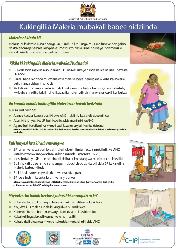 Malaria Prevention and Treatment in Pregnancy