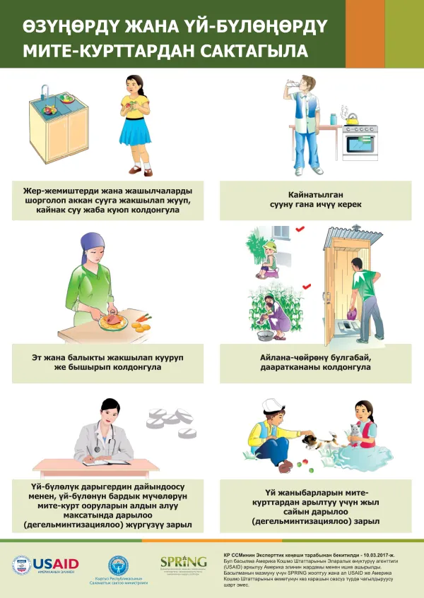USAID Spring