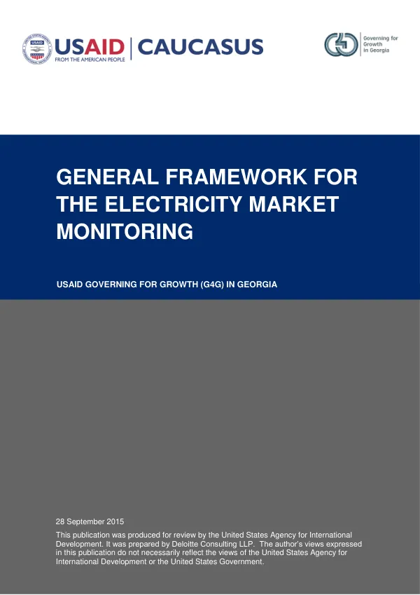 General Framework for the Electricity Market Monitoring