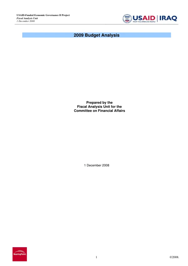2009 budget analysis
