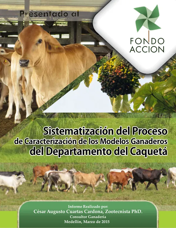 Sistematización Modelos Ganaderos Caquetá