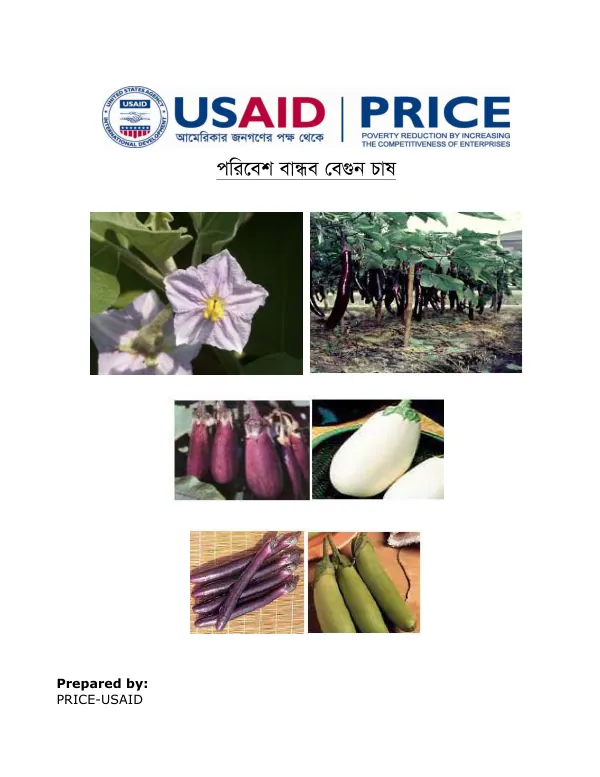 Egg plant Cultivation manual