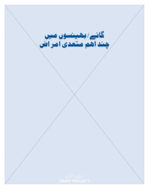 Final Report: DRDF Dairy Project
