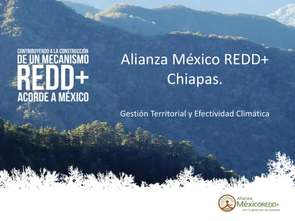Alianza México REDD+ Chiapas. Comunidad de Aprendizaje Sector Cafetalero