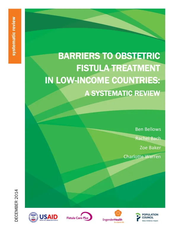 Barriers to obstetric fistula treatment in low-income countries: A systematic review