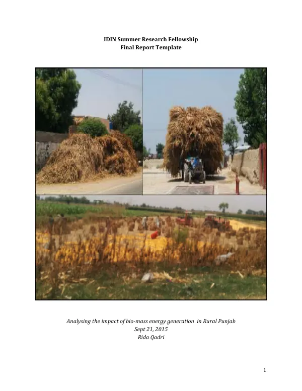 Analysing the impact of bio-mass energy generation in Rural Punjab