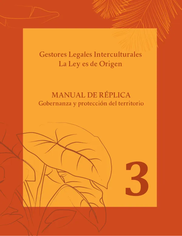 Manual de réplica n.º 3: Gobernanza y protección del territorio