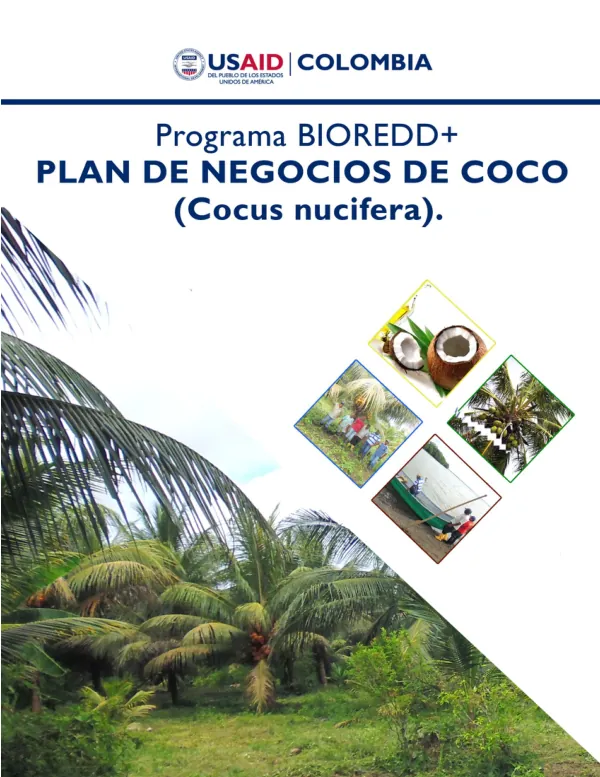 Plan de Negocios Para Coco (Cocus nucifera)