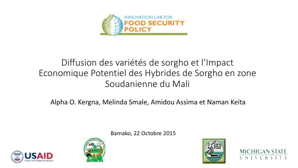 Diffusion des variétés de sorgho et l’Impact Economique Potentiel des Hybrides de Sorgho en zone Soudanienne du Mali