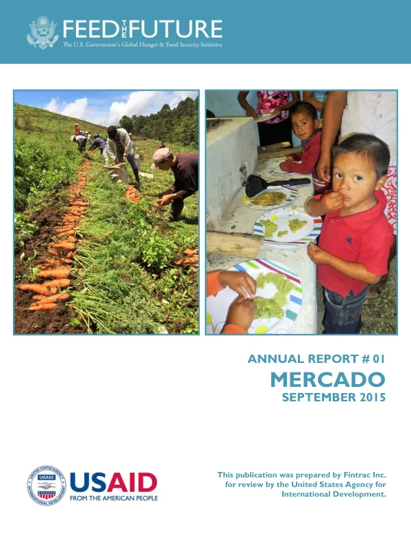 Annual Report #01: MERCADO