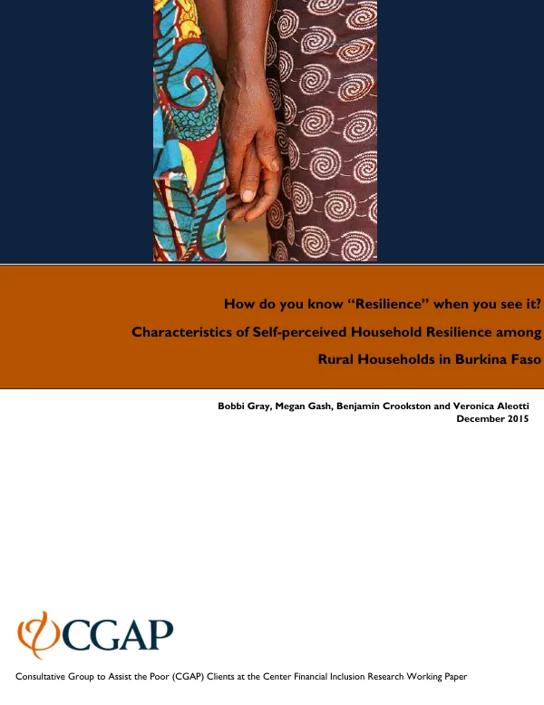 Characteristics of Self-perceived Household Resilience among Rural Households in Burkina Faso