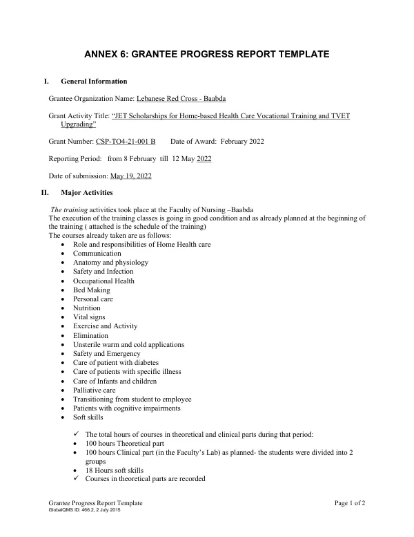 Grantee Progress Report Template